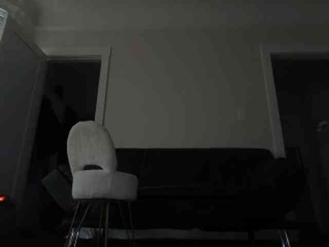 DelightfulDark webcam