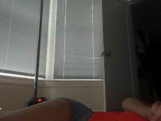 DelightfulDark webcam