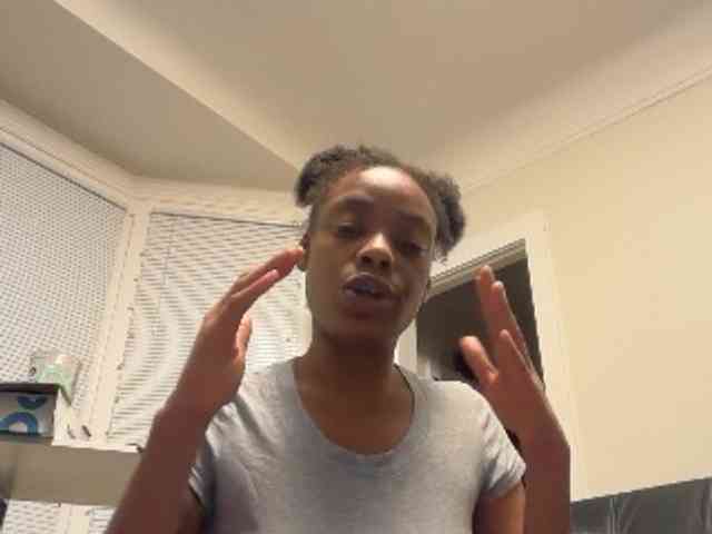 DelightfulDark webcam