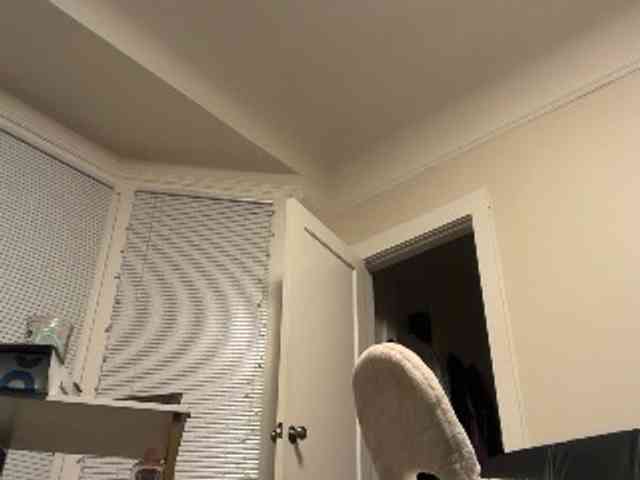 DelightfulDark webcam