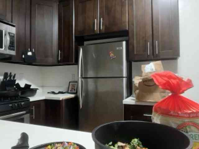 DelightfulDark webcam