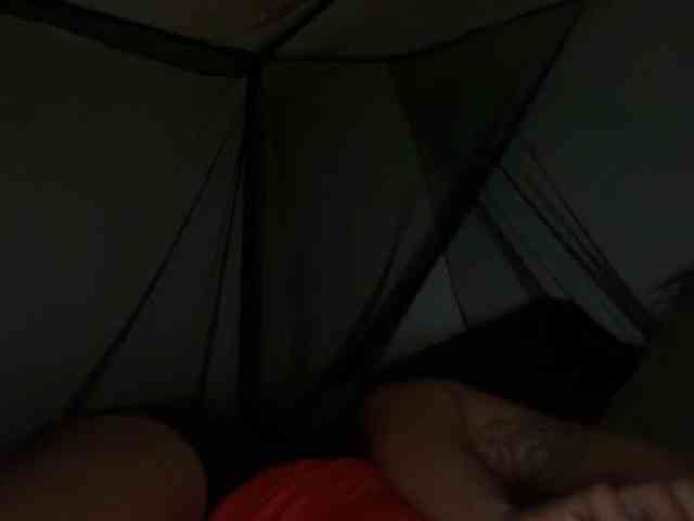 DelightfulDark webcam