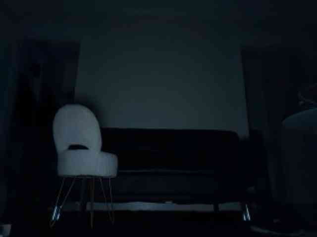 DelightfulDark webcam