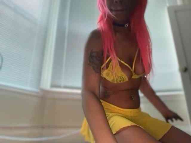 DelightfulDark webcam