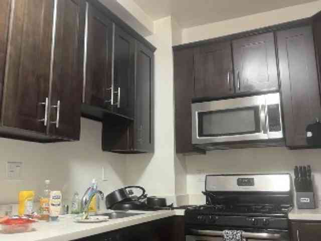 DelightfulDark webcam