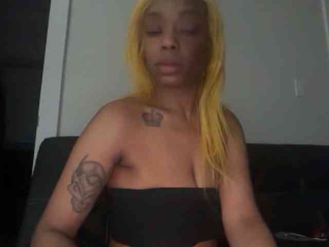 DelightfulDark webcam