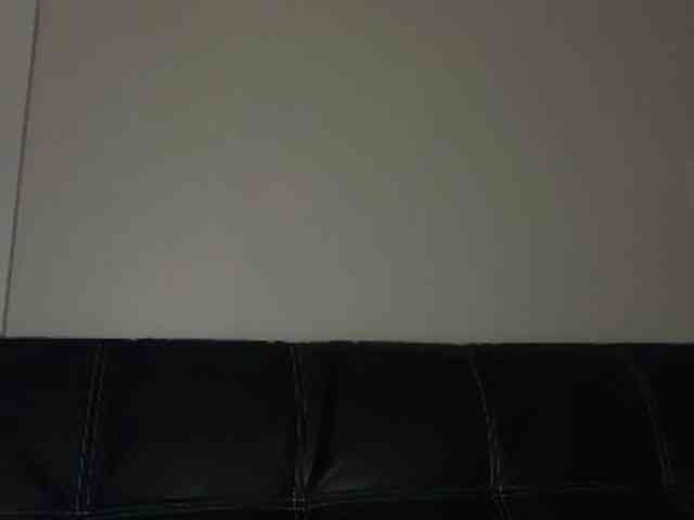 DelightfulDark webcam