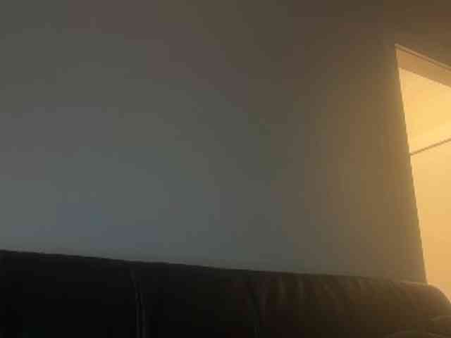 DelightfulDark webcam