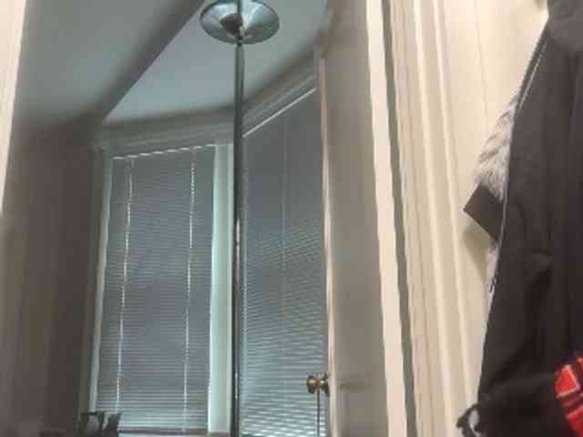 DelightfulDark webcam