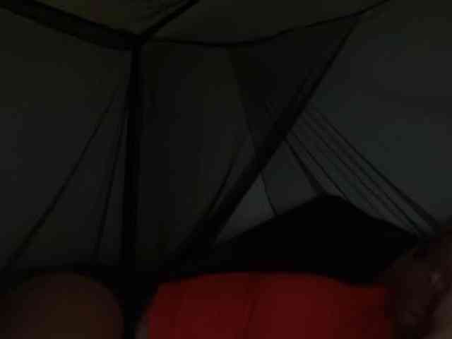 DelightfulDark webcam