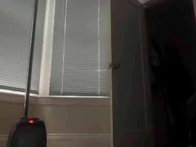 DelightfulDark webcam