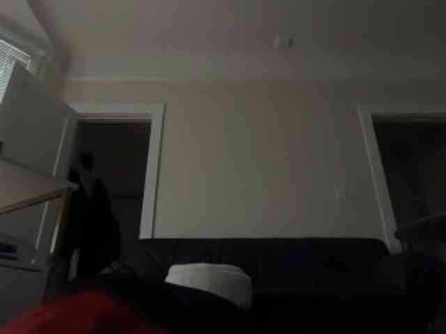 DelightfulDark Live Webcam on BongaCams