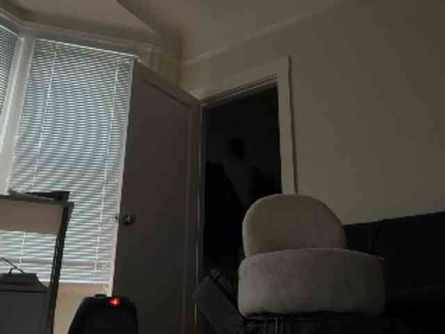 DelightfulDark webcam