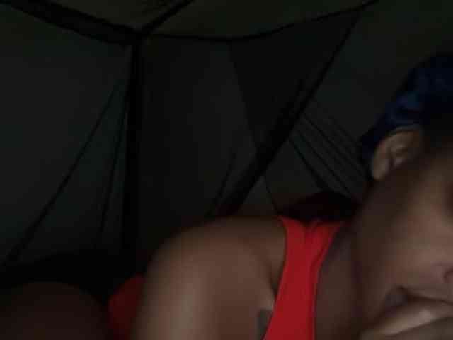 DelightfulDark webcam