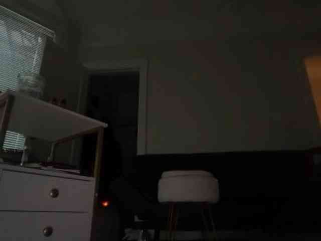 DelightfulDark webcam