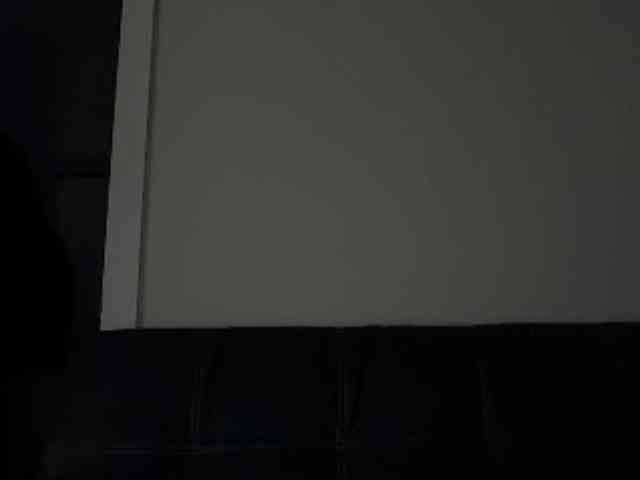 DelightfulDark webcam