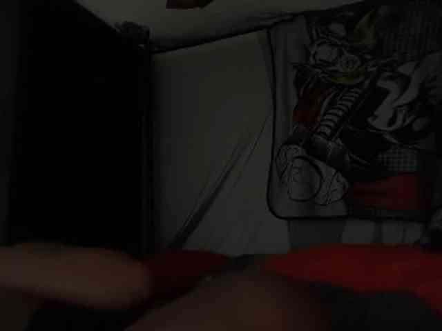 DelightfulDark webcam