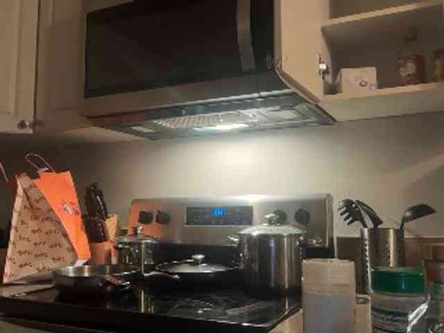 DelightfulDark webcam