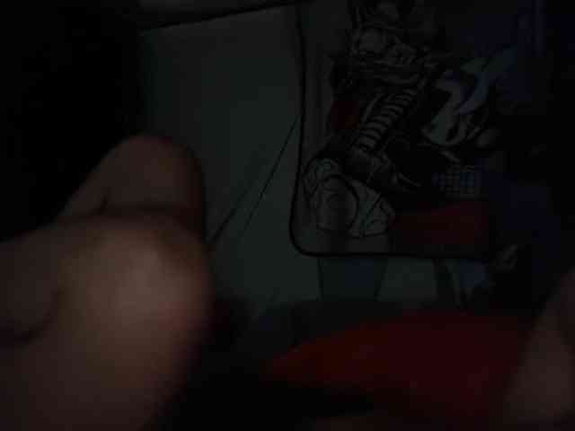 DelightfulDark webcam