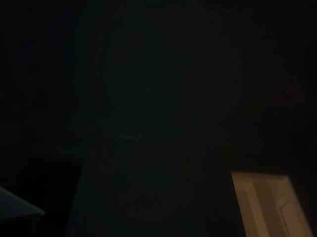 DelightfulDark webcam