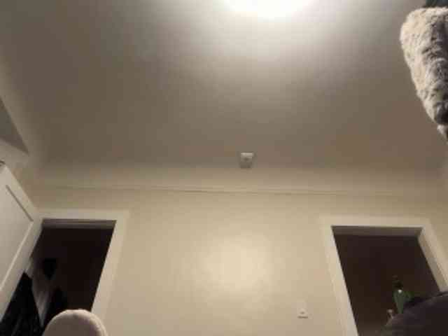 DelightfulDark webcam