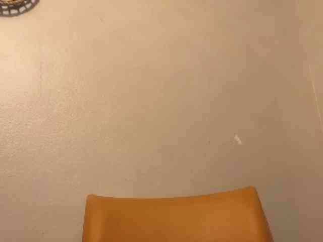 DelightfulDark webcam