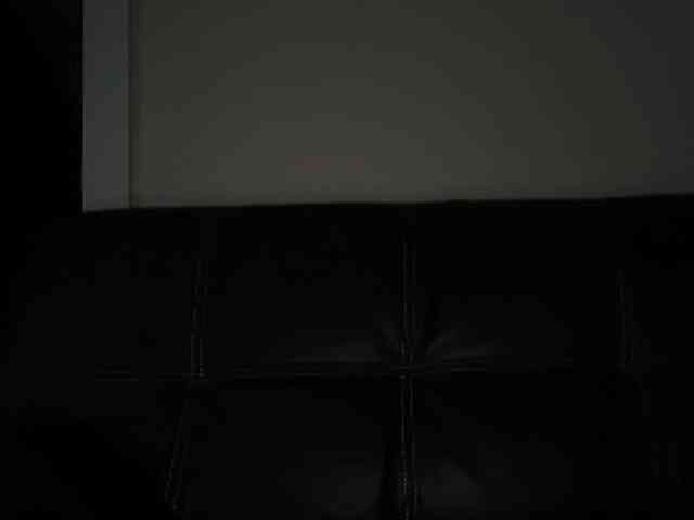 DelightfulDark webcam