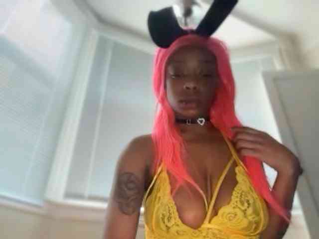 DelightfulDark webcam