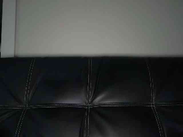 DelightfulDark webcam