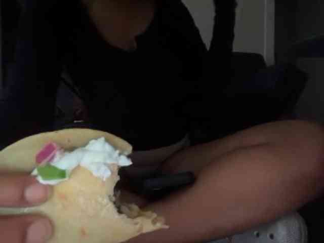 DelightfulDark webcam