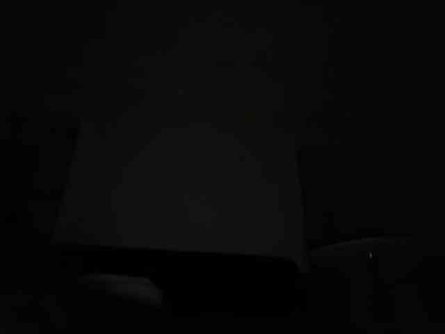 DelightfulDark webcam