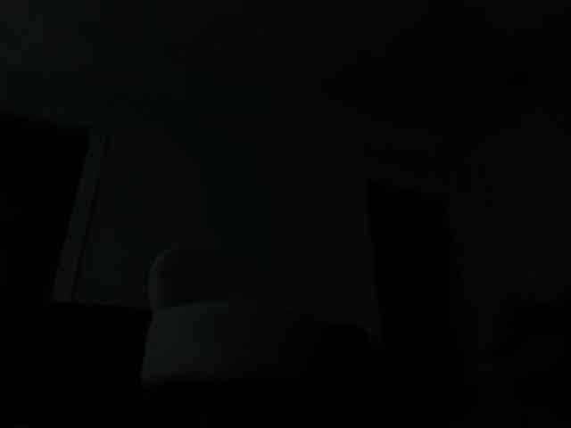 DelightfulDark webcam