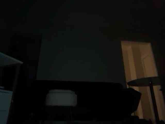 DelightfulDark webcam