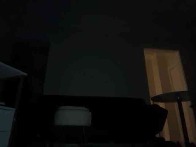 DelightfulDark webcam