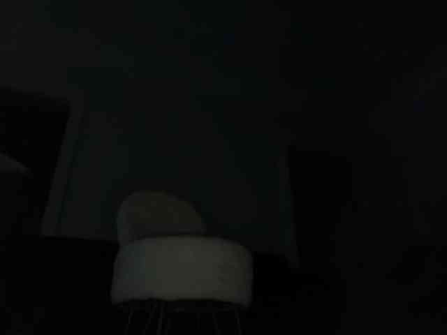 DelightfulDark webcam