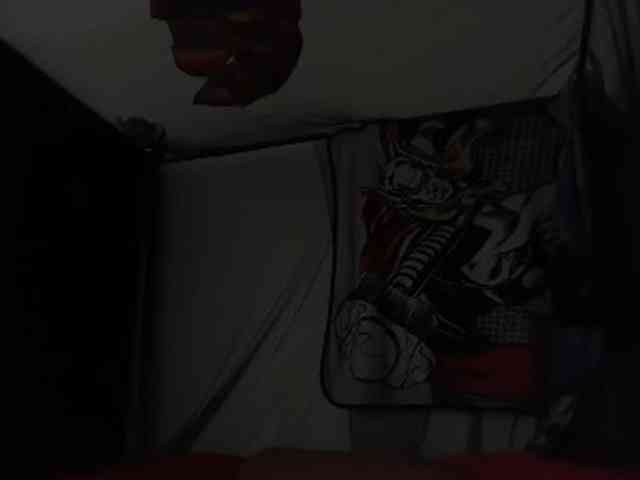 DelightfulDark webcam