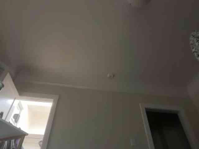 DelightfulDark webcam