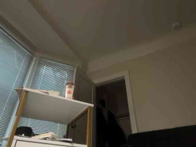 DelightfulDark webcam