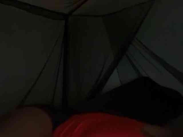 DelightfulDark webcam