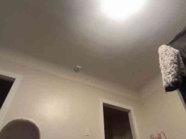 DelightfulDark webcam