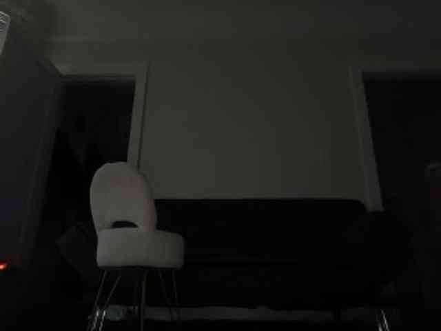 DelightfulDark webcam