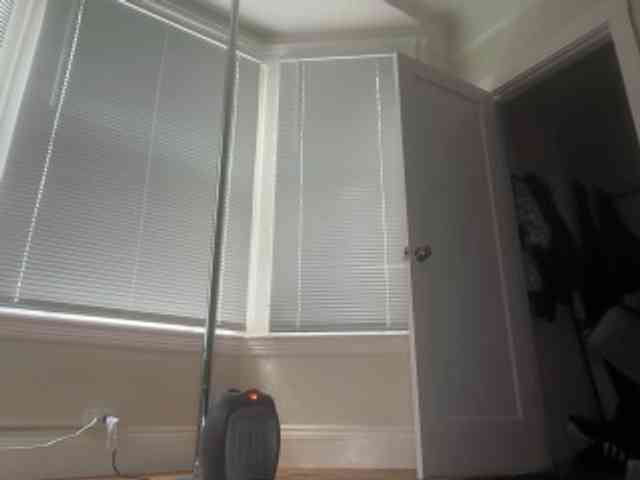 DelightfulDark webcam