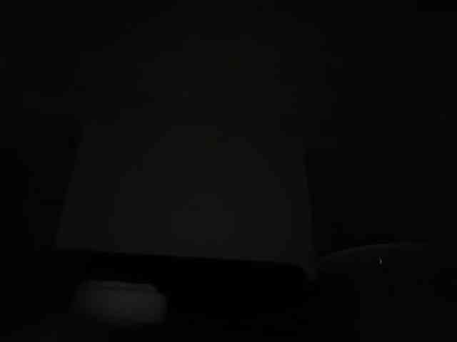 DelightfulDark webcam