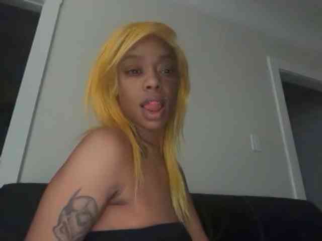 DelightfulDark webcam