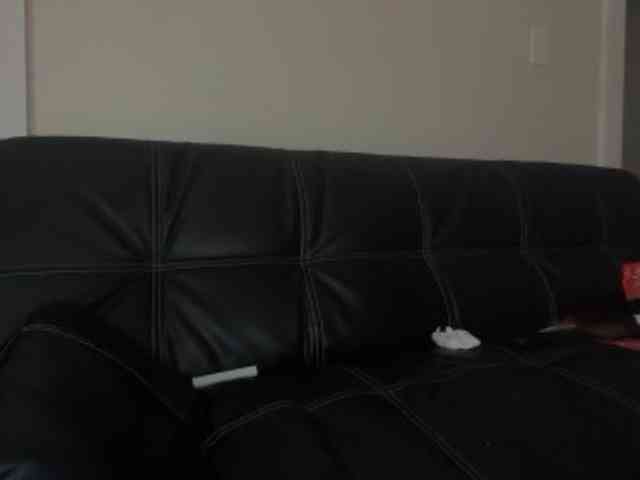 DelightfulDark webcam