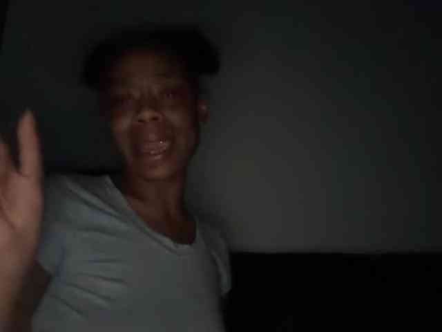 DelightfulDark webcam