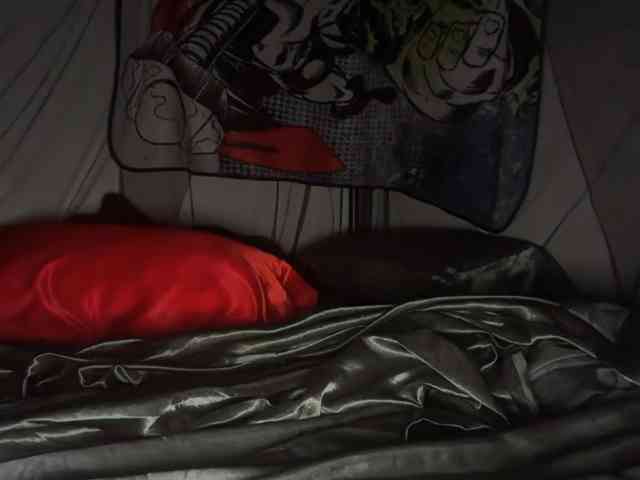 DelightfulDark webcam