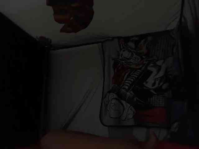 DelightfulDark webcam