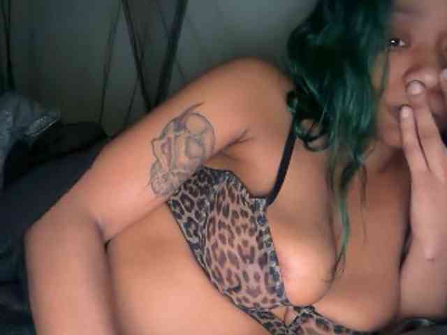 DelightfulDark webcam