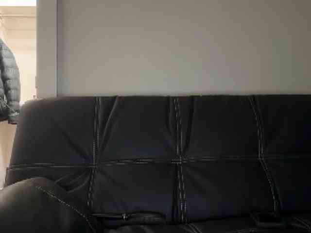 DelightfulDark webcam